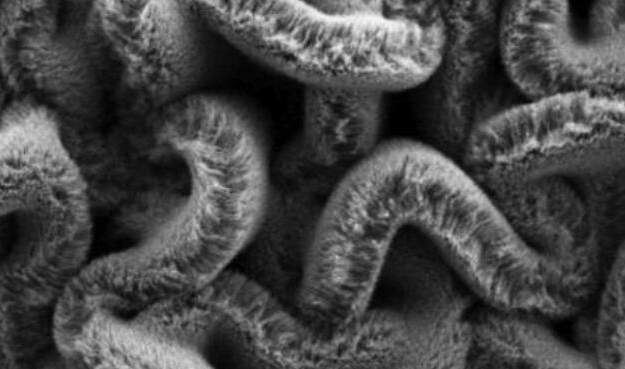 行业新闻：可拉伸的超等电容器，，，，，为柔性可衣着装备铺路